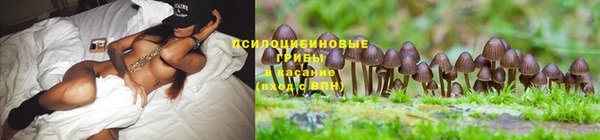 дживик Михайлов